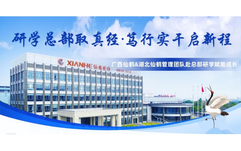 研学总部取真经 笃行实干启新程｜广西仙鹤、湖北仙鹤多批次管理干部赴总部研学赋能成长